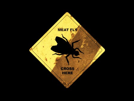 meatfly (Softimage XSI,Photoshop)